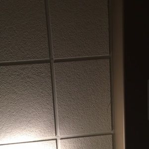 Meet your Posher, Dylan